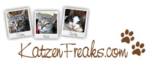 Katzen Freaks
